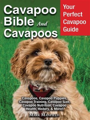 cover image of Cavapoo Bible and Cavapoos
